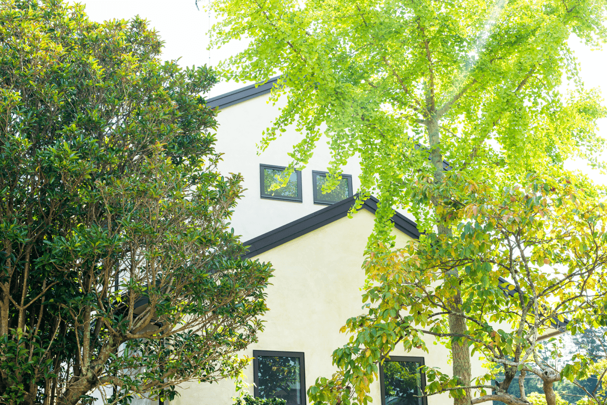 【施工事例】アンティークな家～マットな白の漆喰・経年美のオメガアクロティークでアンティーク調の外壁に｜注文住宅の塗り壁